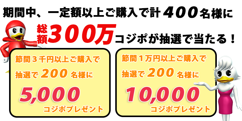 GⅡモーターボート大賞 電投CP内容