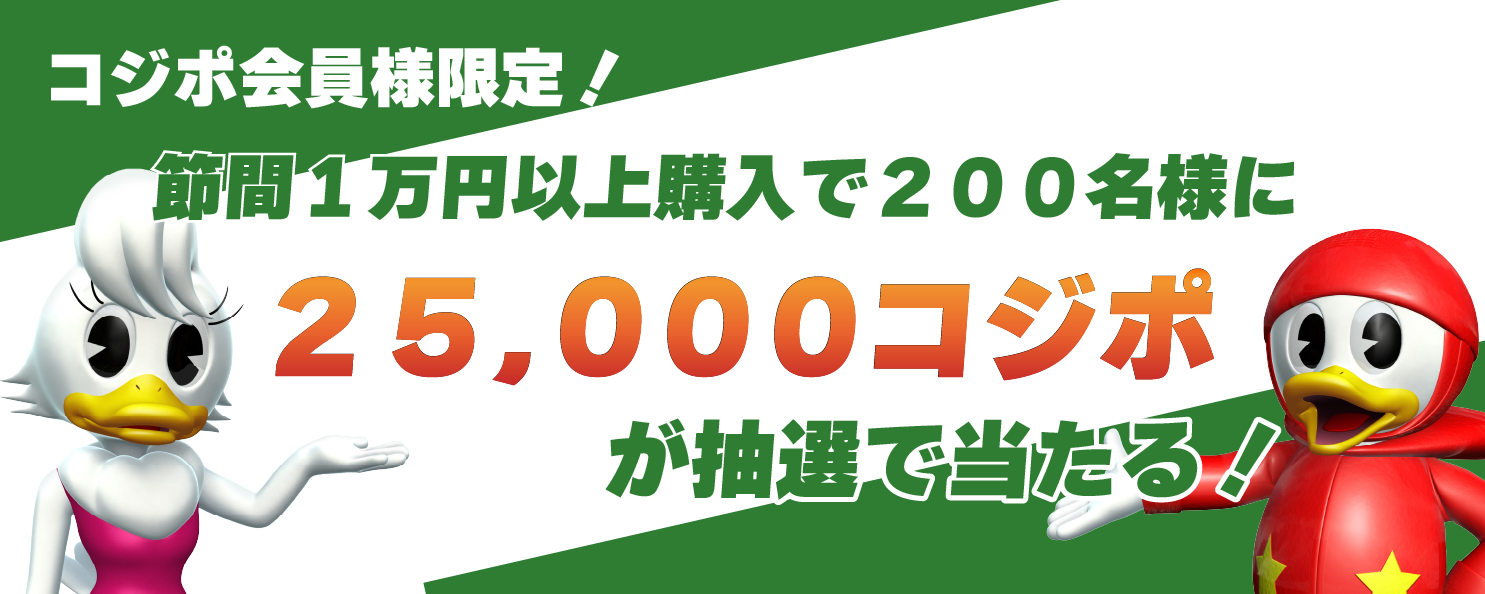 ＧＩ児島キングカップ開設７３周年記念競走