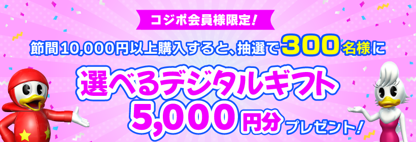 ヴィーナスシリーズ第１０戦 第１６回クラリスカップ 電投CP内容
